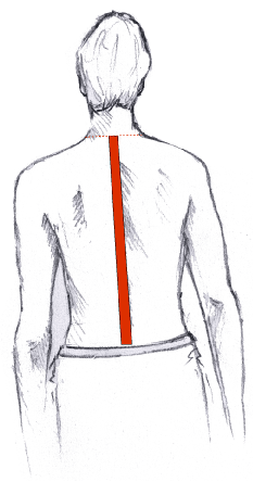 Height Measurement Guide